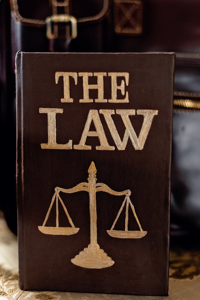 Services Detailed image of a book titled The Law featuring scales of justice.